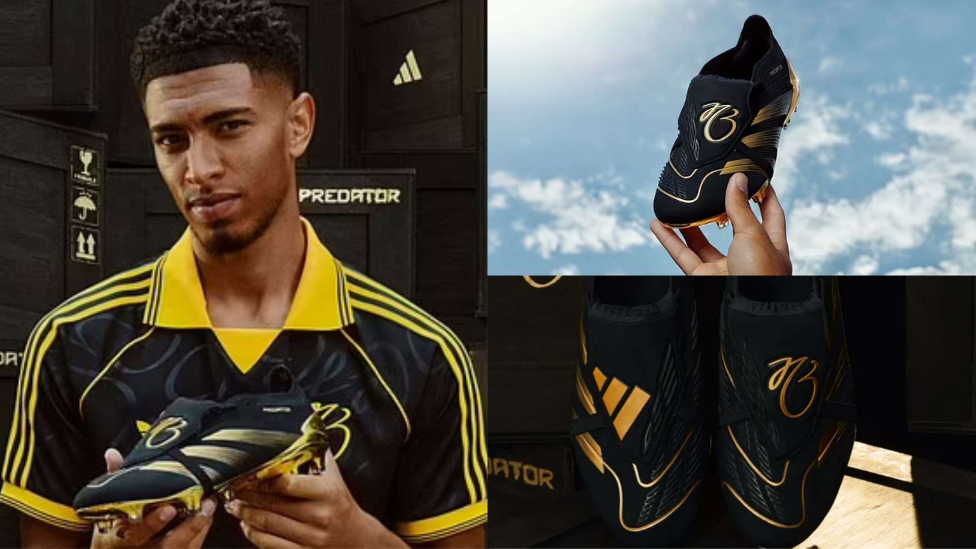 我们看到 我们看到