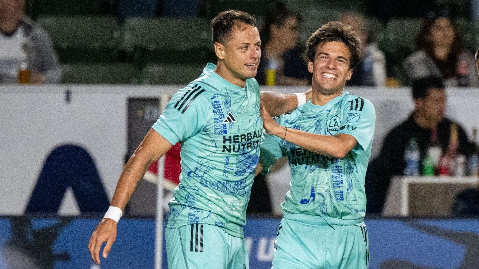 内完成一系 内完成一系